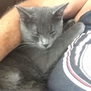 Meet your Posher, Christie